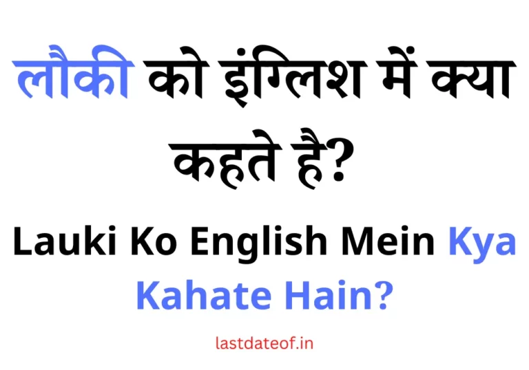 लौकी को इंग्लिश में क्या कहते है? | Lauki Ko English Mein Kya Kahate Hain